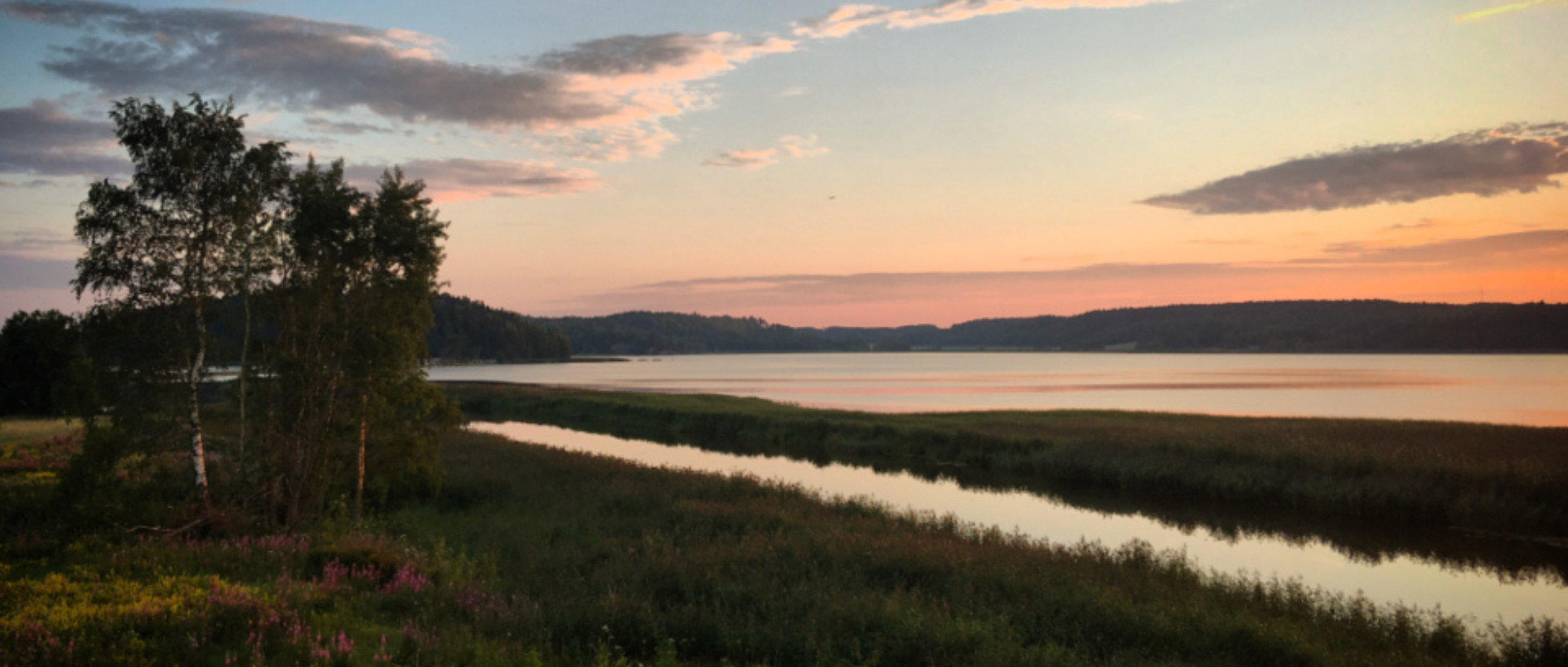 服务拆分之旅：测试过程全揭秘｜得物技术